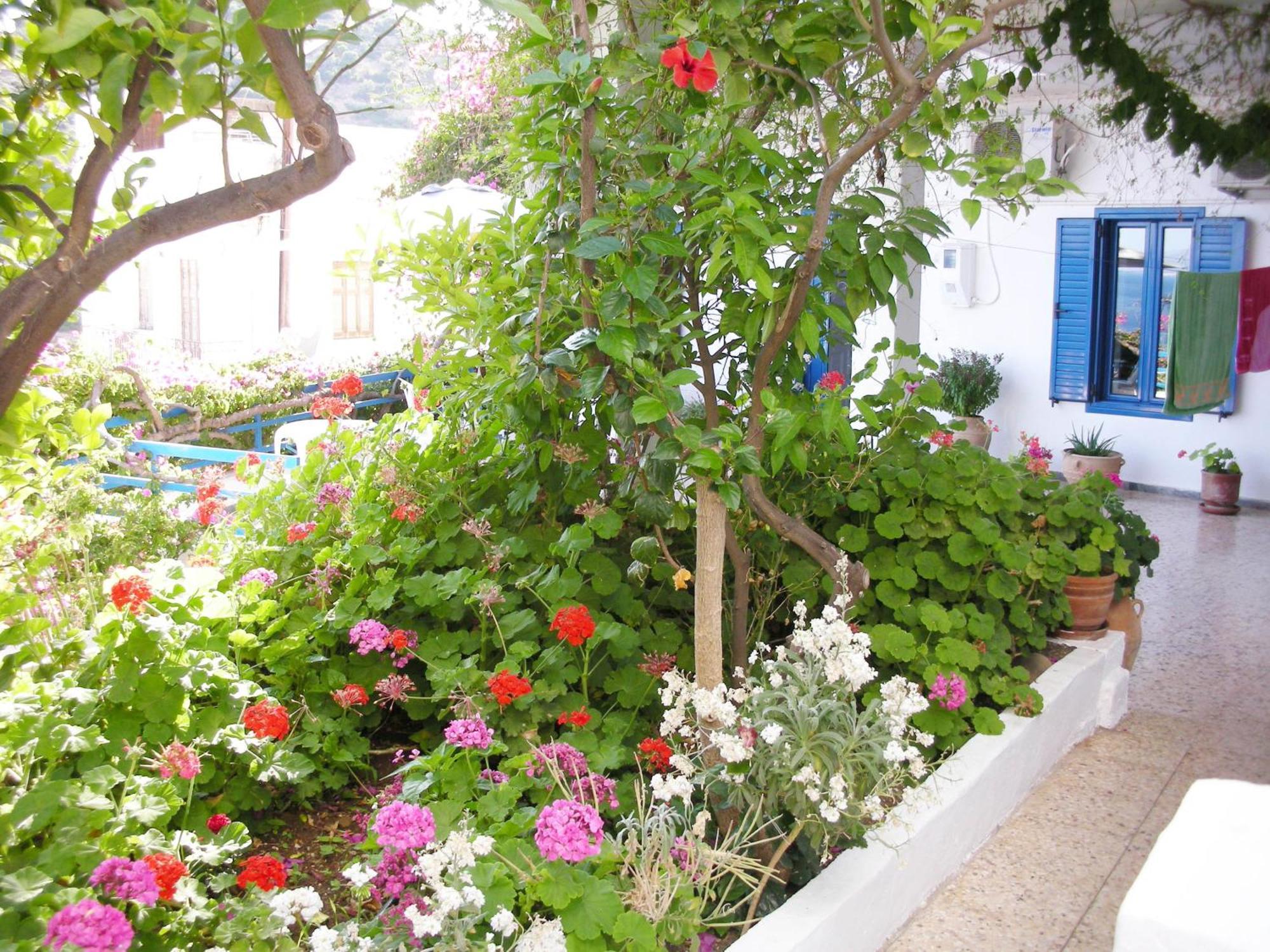 Hotel Hariklia Agia Galini  Luaran gambar